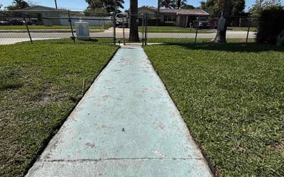 Photo of Debbie R.'s yard after getting lawn care in Carmichael, CA