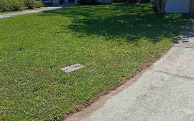 Photo of Shelby L.'s yard after getting lawn care in Pace, FL