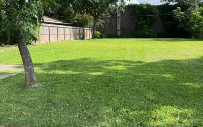 Photo of Nathan H.'s yard after getting lawn care in Waco, TX
