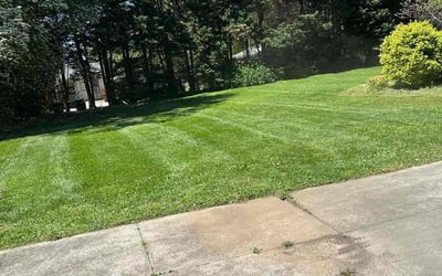 Photo of Frank K.'s yard after getting lawn care in Clemmons, NC