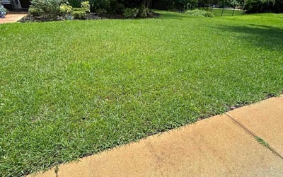 Photo of David R.'s yard after getting lawn care in North Bergen, NJ