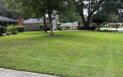 Photo of Saray C.'s yard after getting lawn care in Tallahassee, FL