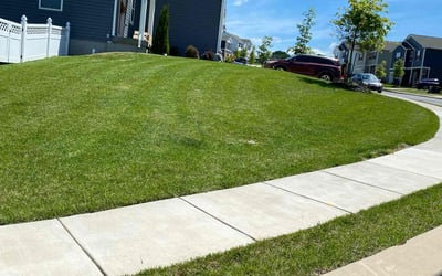 Photo of Ken B.'s yard after getting lawn care in Chandler, AZ