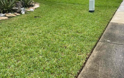 Photo of Priya R.'s yard after getting lawn care in Cutler Bay, FL