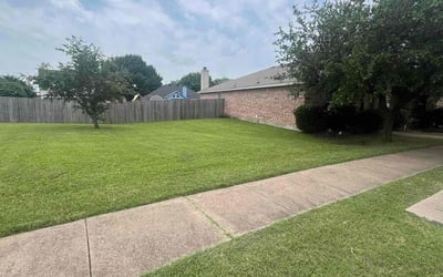 Photo of Jose F.'s yard after getting lawn care in Lancaster, TX