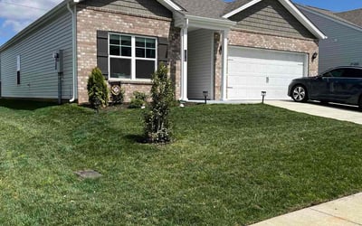 Photo of Arianni N.'s yard after getting lawn care in Greensboro, NC