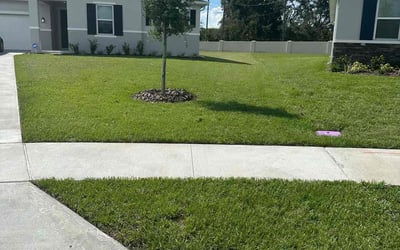 Photo of Kimberly T.'s yard after getting lawn care in Hopewell Junction, NY
