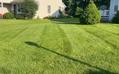 Photo of Frank R.'s yard after getting lawn care in Goshen, IN