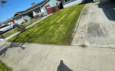 Photo of Julia A.'s yard after getting lawn care in Morgan Hill, CA