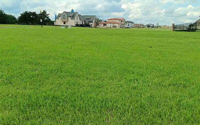 Photo of Carmelle M.'s yard after getting lawn care in Lancaster, PA