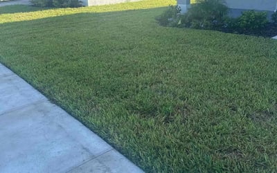 Photo of Chauncey C.'s yard after getting lawn care in Ruskin, FL