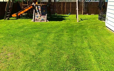 Photo of Joey F.'s yard after getting lawn care in Tonawanda, NY