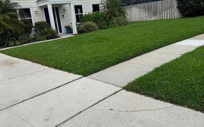 Photo of Miguel S.'s yard after getting lawn care in Orlando, FL