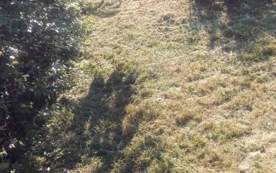 Photo of Kendale W.'s yard after getting lawn care in Attleboro, MA