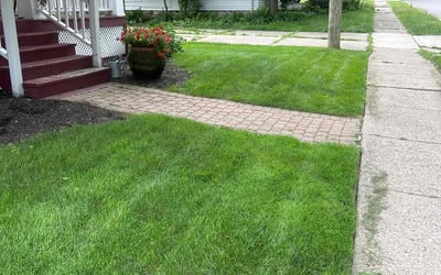 Photo of Eric T.'s yard after getting lawn care in Kennesaw, GA