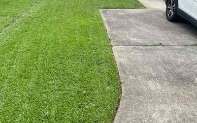 Photo of Diana M.'s yard after getting lawn care in Van Nuys, CA