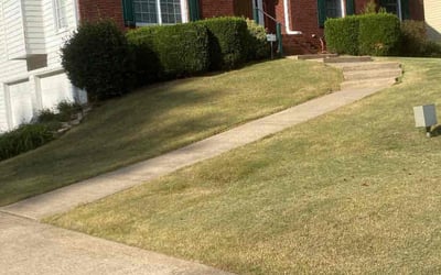 Photo of Autumn N.'s yard after getting lawn care in Yuba City, CA