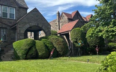 Photo of Bryant M.'s yard after getting lawn care in Jonesboro, GA