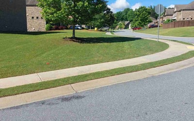 Photo of Terry L.'s yard after getting lawn care in Suwanee, GA