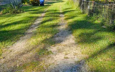 Photo of Mary D.'s yard after getting lawn care in Northborough, MA