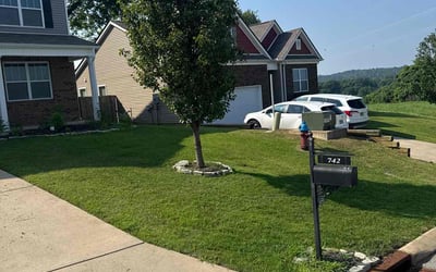 Photo of Yegor P.'s yard after getting lawn care in Wichita, KS