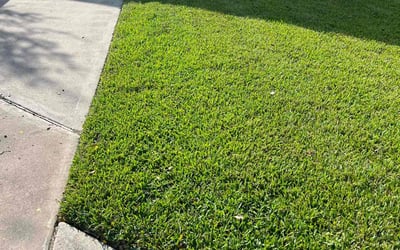 Photo of Joshua G.'s yard after getting lawn care in Pearland, TX