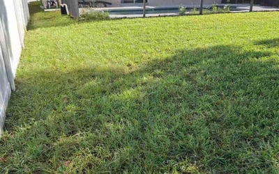 Photo of Therin S.'s yard after getting lawn care in Painesville, OH