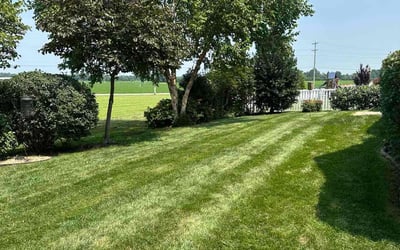 Photo of Angelique R.'s yard after getting lawn care in Louisville, KY