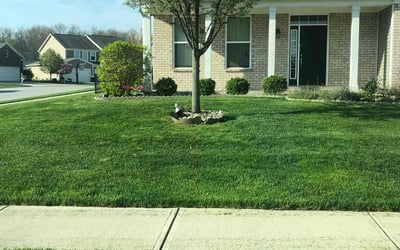 Photo of Marlyce W.'s yard after getting lawn care in Plainfield, IN