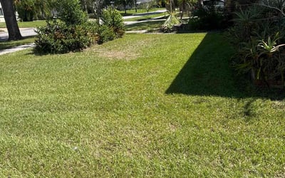 Photo of Asia D.'s yard after getting lawn care in Garland, TX