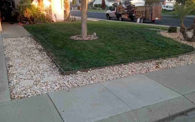 Photo of Jayne W.'s yard after getting lawn care in Oakdale, CA
