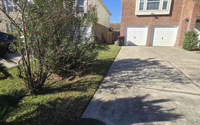 Photo of Eric F.'s yard after getting lawn care in Austin, TX
