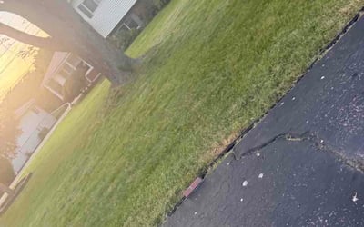 Photo of Ronald W.'s yard after getting lawn care in East Saint Louis, IL