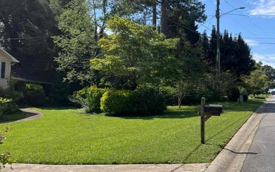Photo of Michael S.'s yard after getting lawn care in Shrewsbury, MA