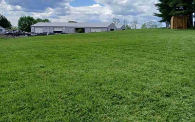 Photo of Maribel A.'s yard after getting lawn care in Loxahatchee, FL