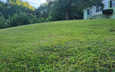 Photo of Olivia T.'s yard after getting lawn care in Phenix City, AL