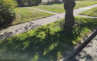 Photo of Jennifer G.'s yard after getting lawn care in Seattle, WA