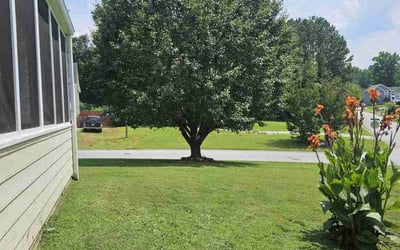 Photo of Kenneth L.'s yard after getting lawn care in Orange, TX