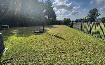 Photo of Michael S.'s yard after getting lawn care in Elmhurst, NY