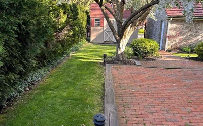 Photo of Nicole F.'s yard after getting lawn care in Bangor, PA