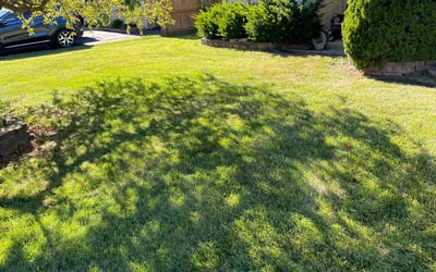 Photo of Bridget S.'s yard after getting lawn care in Burbank, IL