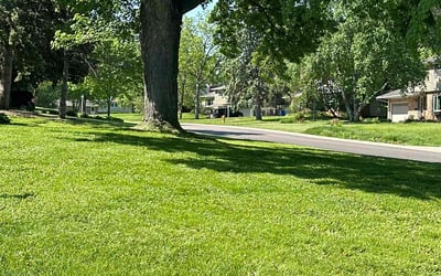 Photo of Dianja D.'s yard after getting lawn care in Golden Valley, MN