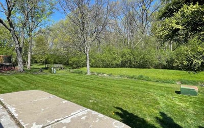 Photo of Yolanda M.'s yard after getting lawn care in Inkster, MI