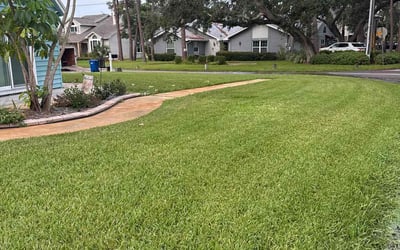 Photo of Monica R.'s yard after getting lawn care in West Milford, NJ