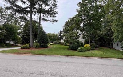 Photo of Mugeni L.'s yard after getting lawn care in Zachary, LA