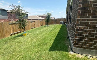 Photo of mahesh s.'s yard after getting lawn care in Tulare, CA
