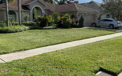 Photo of Crystal M.'s yard after getting lawn care in North Las Vegas, NV