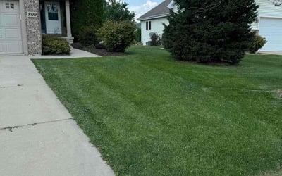 Photo of Deb K.'s yard after getting lawn care in Oregon, WI