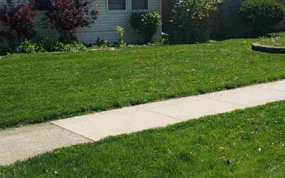 Photo of Houston T.'s yard after getting lawn care in Addison, IL