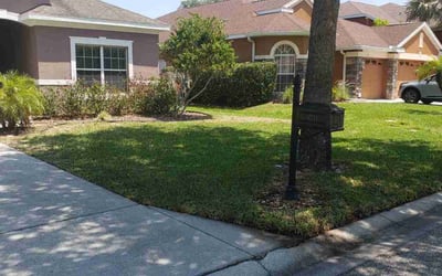 Photo of Kathy H.'s yard after getting lawn care in Long Beach, NY